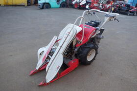 DSCF8378.JPG