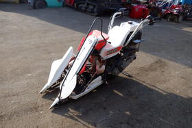 DSCF8485.JPG