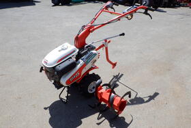 DSCF9531.JPG